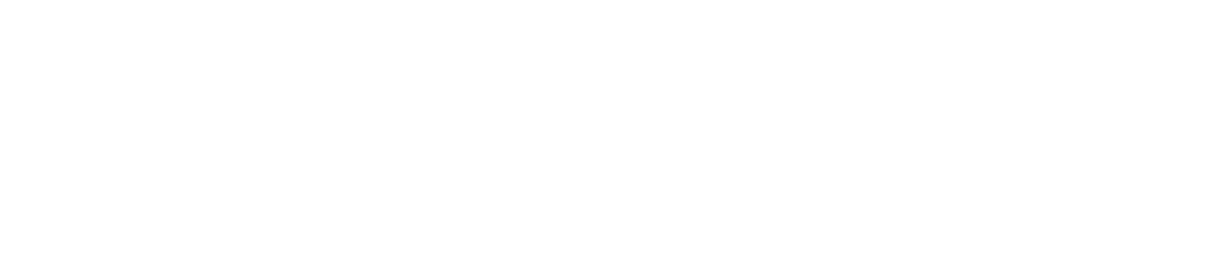 Fortisec